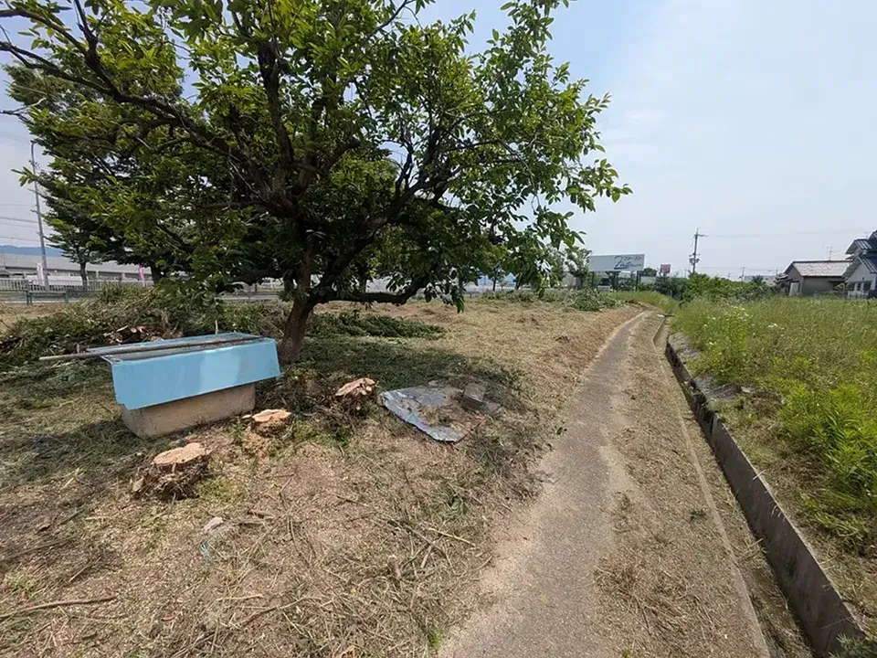 草刈り・庭掃除事例1（作業後）
