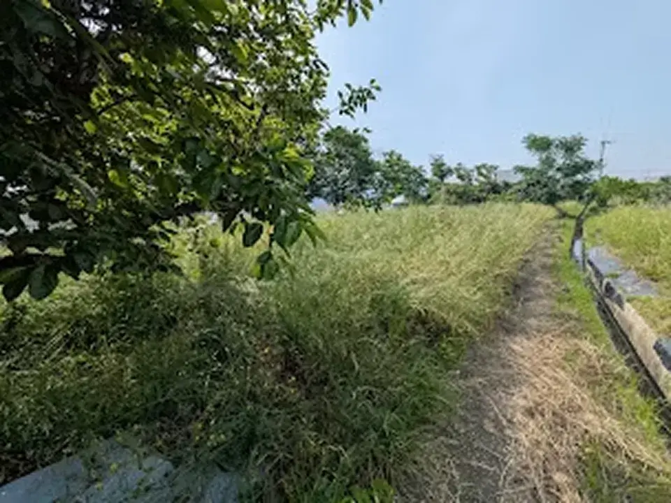草刈り・庭掃除事例1（作業前）